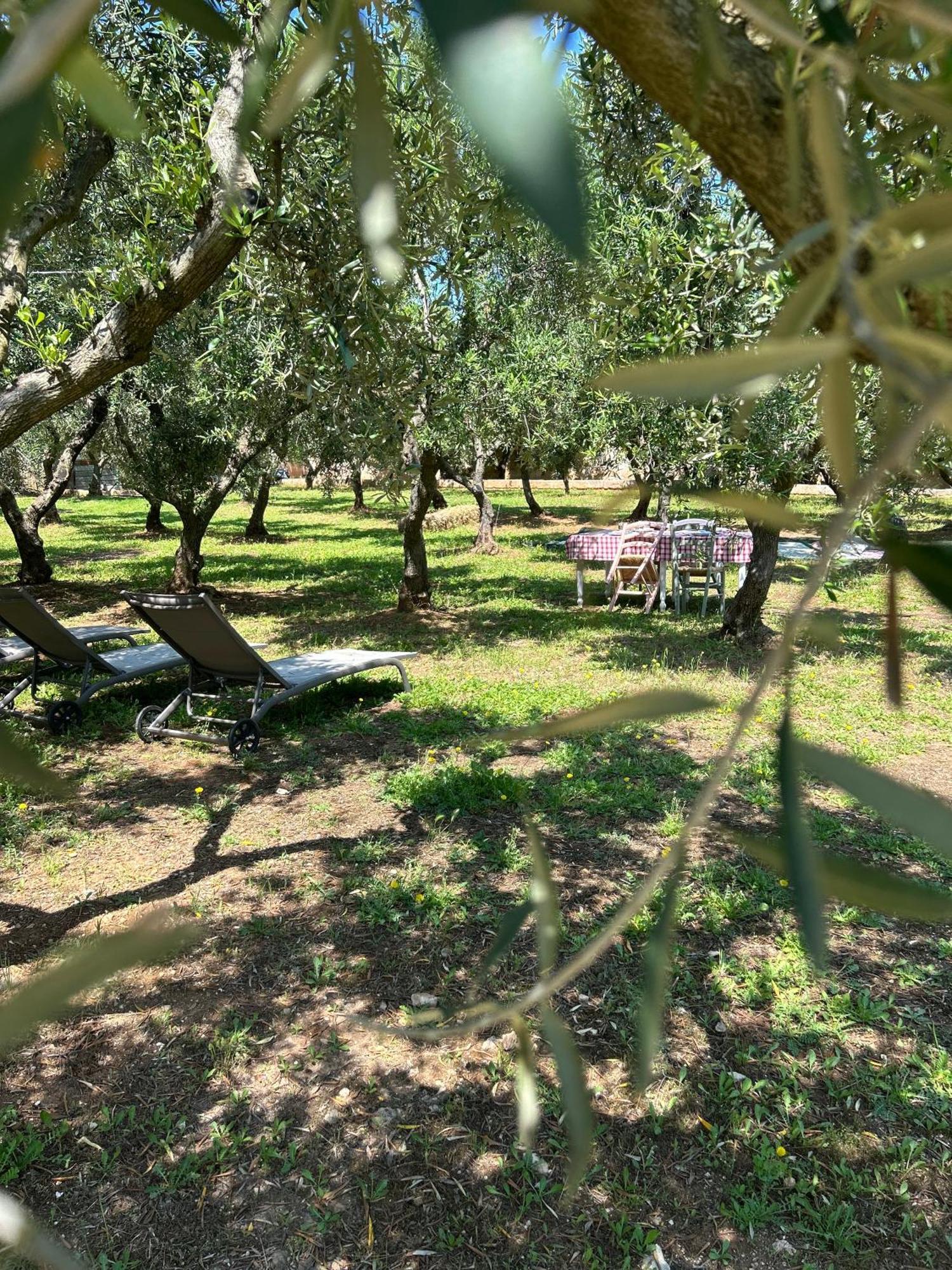 Sorelle Barnaba Country House Monopoli Εξωτερικό φωτογραφία