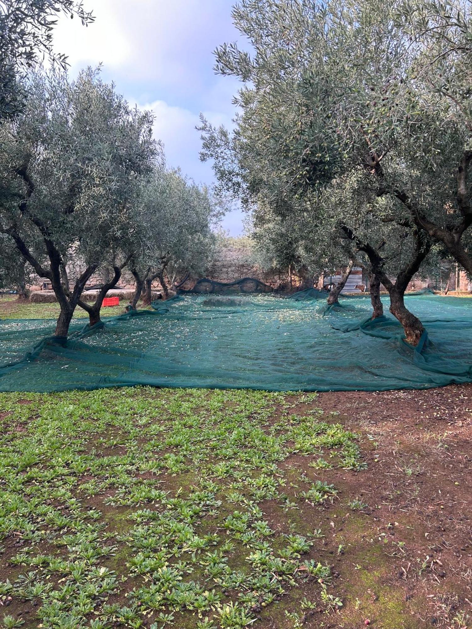 Sorelle Barnaba Country House Monopoli Εξωτερικό φωτογραφία
